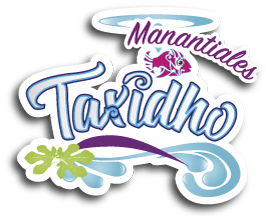 Logo Manantiales Taxidhó